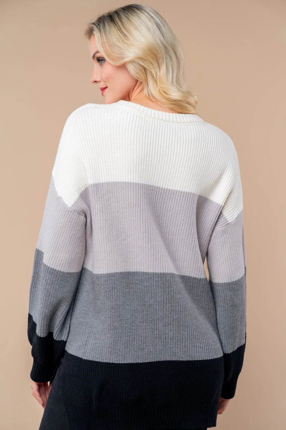 Neutral Color Block Sweater
