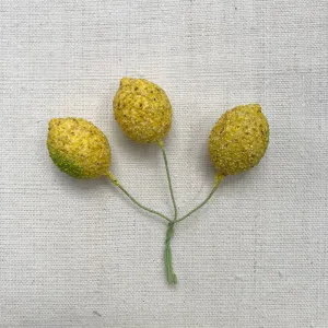 Nostalgic Cotton Lemon Twist-Tie Ornament Set