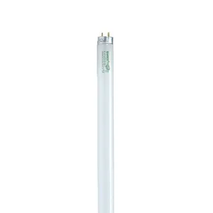 Satco S8438 Fluorescent T8
